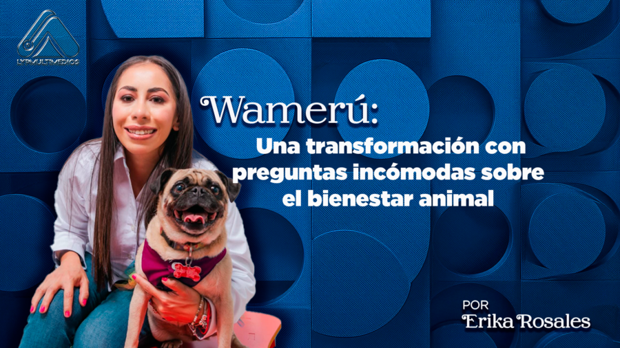 Wamerú: Una transformación con preguntas incómodas sobre el bienestar animal