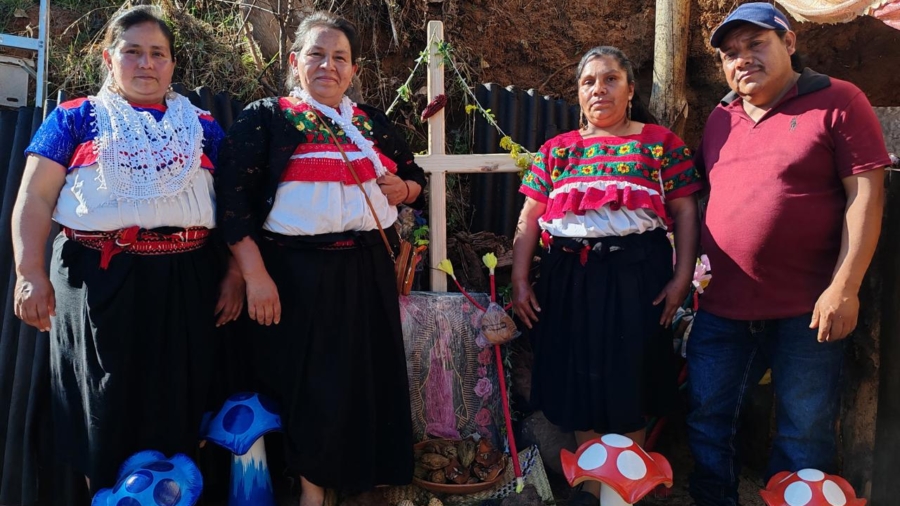 Proyectos comunitarios impulsan el desarrollo económico en poblaciones indígenas de Hidalgo