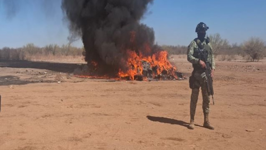 Autoridades Federales Refuerzan Operativos de Seguridad en 16 Estados del País