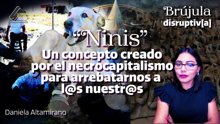 «NINIS»: Un concepto creado por el necrocapitalismo para arrebatarnos a los nuestros