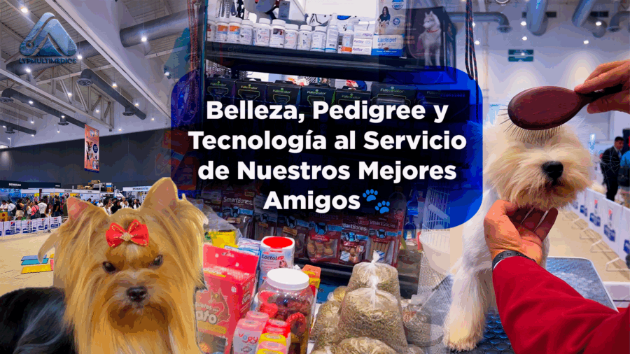 📸 Crónica | Expo Canina Querétaro 2025: Belleza, Pedigree y Tecnología al Servicio de Nuestros Mejores Amigos🐾