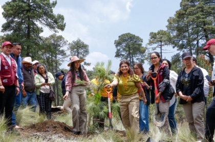 Clara Brugada lanza ambicioso Plan Ambiental para la Ciudad de México: 10 millones de árboles en 2025