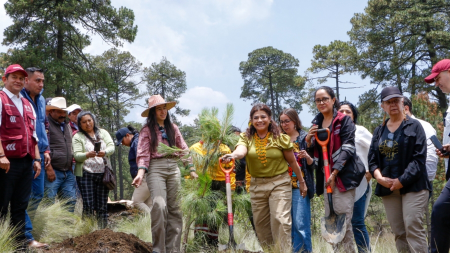 Clara Brugada lanza ambicioso Plan Ambiental para la Ciudad de México: 10 millones de árboles en 2025