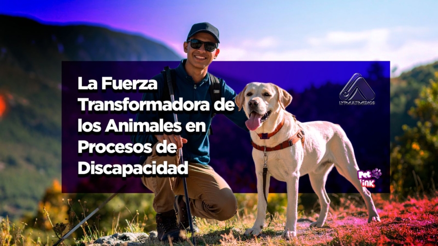La Fuerza Transformadora de los Animales en Procesos de Discapacidad: Más Allá del Apoyo, una Evolución Tecnológica