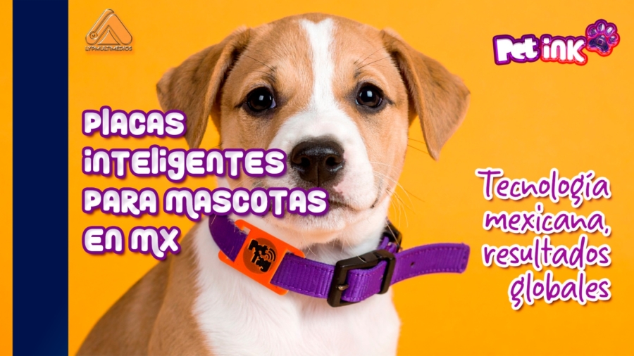 Placas Inteligentes para Mascotas en México: Tecnología que Te Reconecta con Tu Mejor Amigo