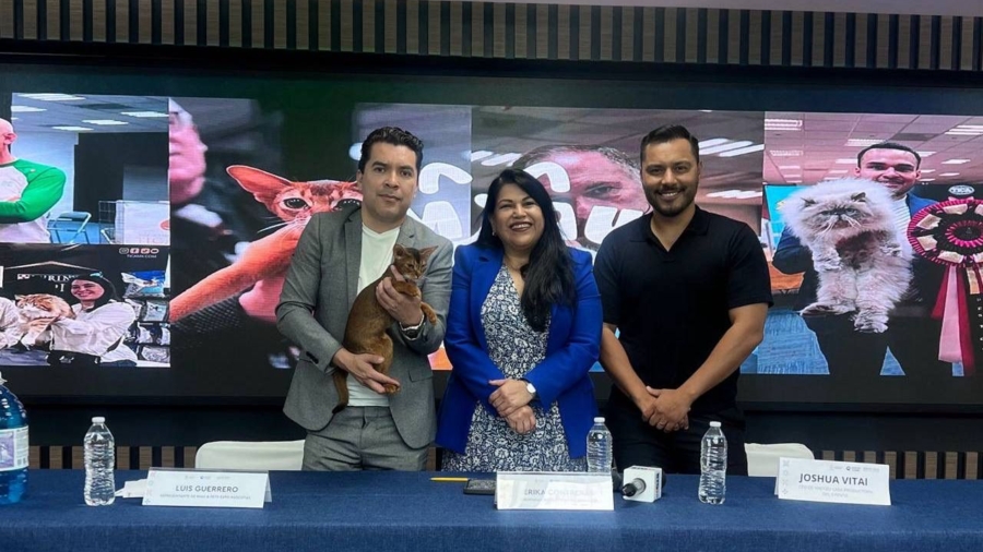 Querétaro consolida su vocación pet friendly con Miau and Pets, Expo Mascotas y Cat Show 2025
