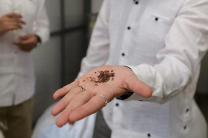 Yucatán inaugura planta que convierte sargazo en biofertilizantes y alimentos para animales