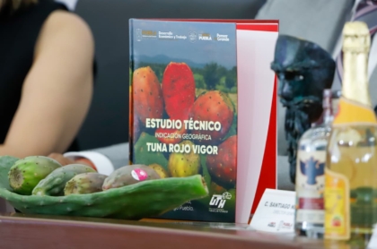 UTH entrega al IMPI estudio para Indicación Geográfica de la tuna de Acatzingo