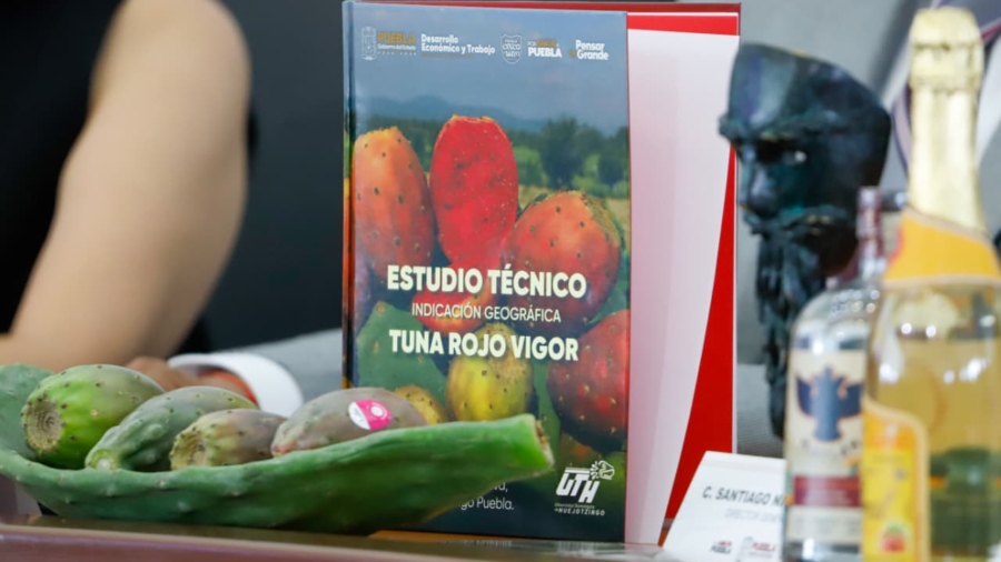 UTH entrega al IMPI estudio para Indicación Geográfica de la tuna de Acatzingo