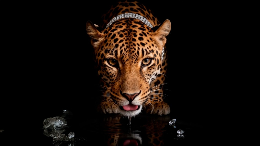 🐆 THE UNTAMED POWER: Luxury Jewelry with Feline Motifs as the Defining Trend for 2026