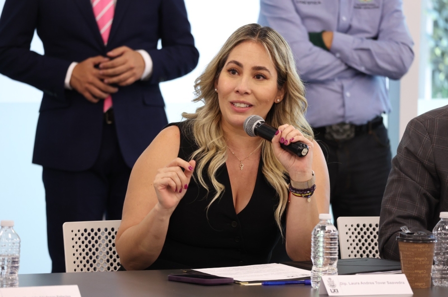 Diputada Andrea Tovar impulsa análisis para regular el uso de drones en Querétaro sin invadir competencias federales