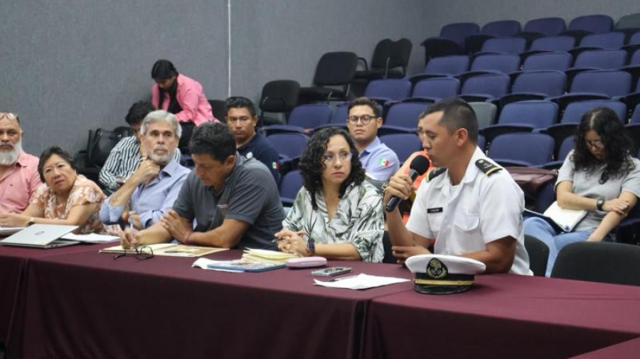Fin al espectáculo turístico: Yucatán prohíbe las liberaciones públicas tras récord histórico en anidación de tortugas