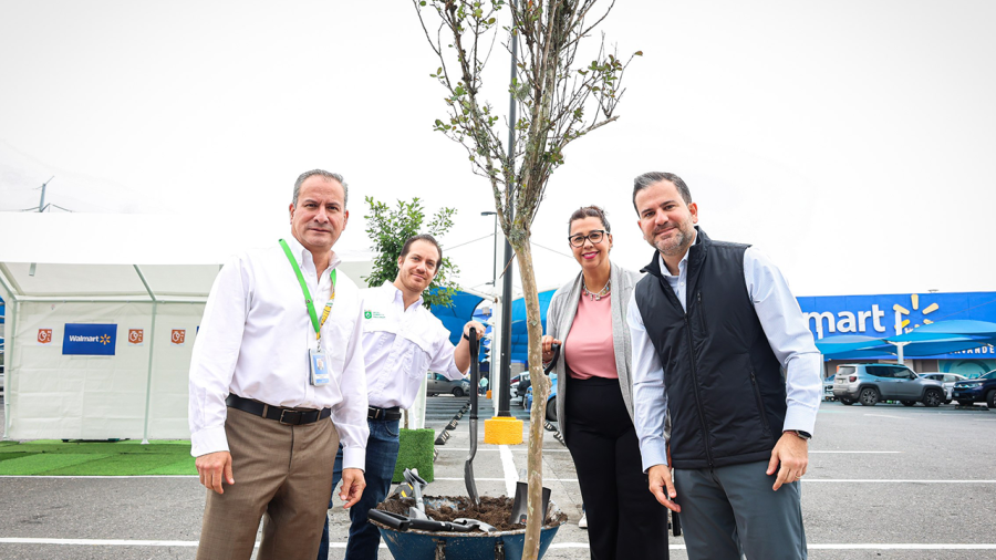 Adiós a las «islas de calor»: Nuevo León y Walmart arrancan reforestación masiva en estacionamientos