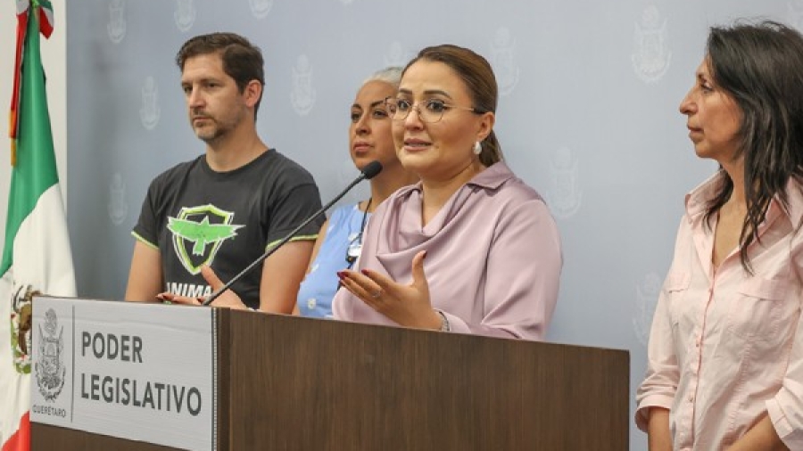 «Festejo sin pólvora»: Claudia Díaz y activistas exigen no usar pirotecnia en los 300 años de Los Arcos de Querétaro