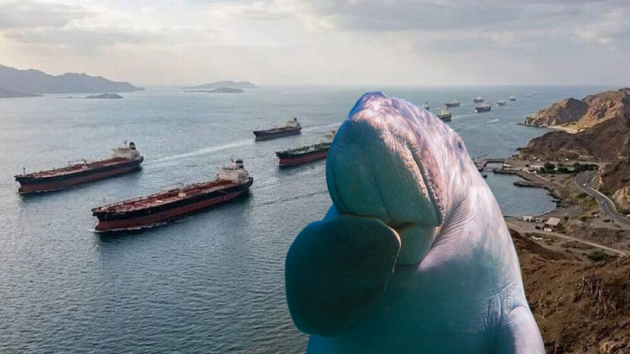 Ormuz: El santuario herido donde el rugido de la guerra silencia el canto de las ballenas
