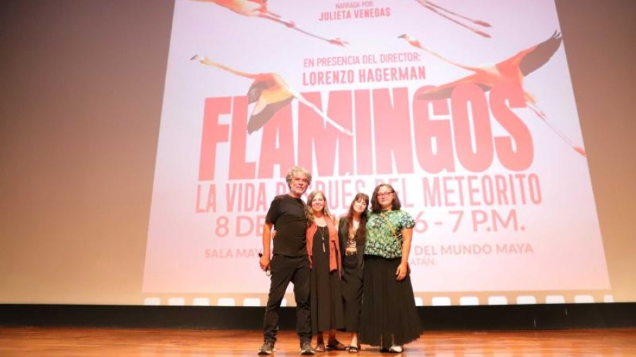 Éxito total en el Gran Museo del Mundo Maya: Documental sobre flamencos yucatecos rompe récords de asistencia