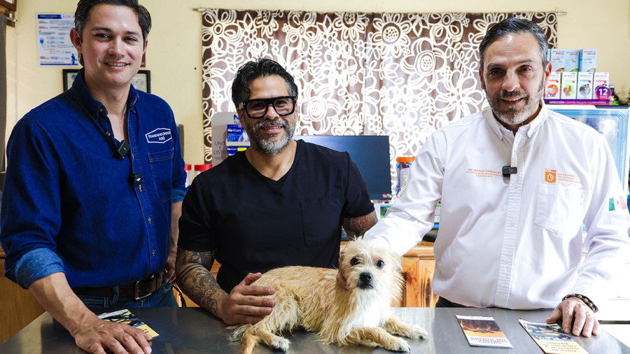 «No hay que sacrificar a las mascotas»: Nuevo León arranca campaña contra el gusano barrenador en perros y gatos