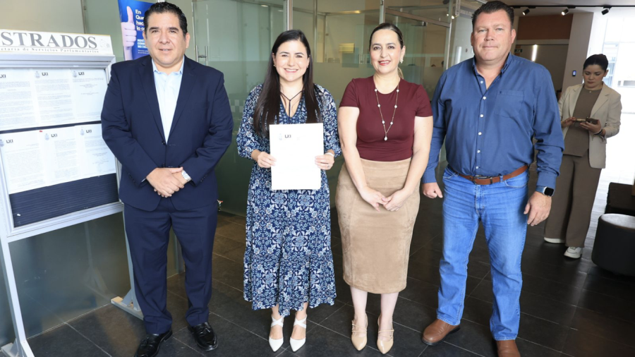 Contra la burocracia institucional: Presentan iniciativa para agilizar procesos de adopción en Querétaro