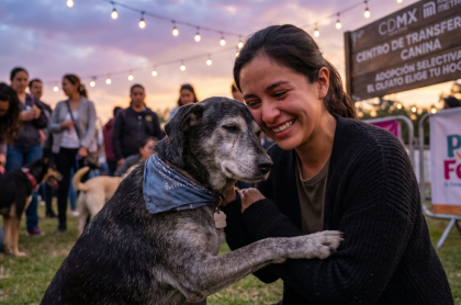 Adopción selectiva en México: Perros rescatados del Metro eligen a sus familias en Campo Marte