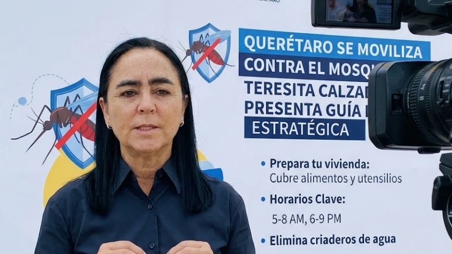 Escudo contra el Dengue: Teresita Calzada lanza guía estratégica para frenar al mosquito en Querétaro