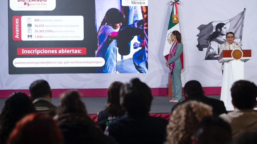Desplome histórico de homicidios y cacería de «narcopolíticos»: El balance de seguridad del Gobierno Federal