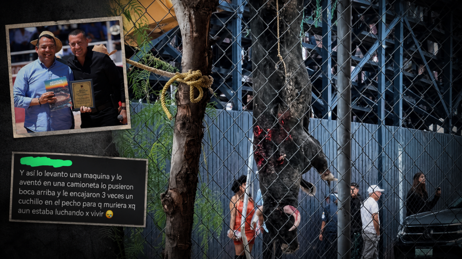 Retrato de una tortura celebrada en San Juan del Río