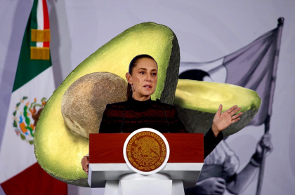 México busca reactivar la exportación de aguacate a Estados Unidos tras suspensión por motivos de seguridad